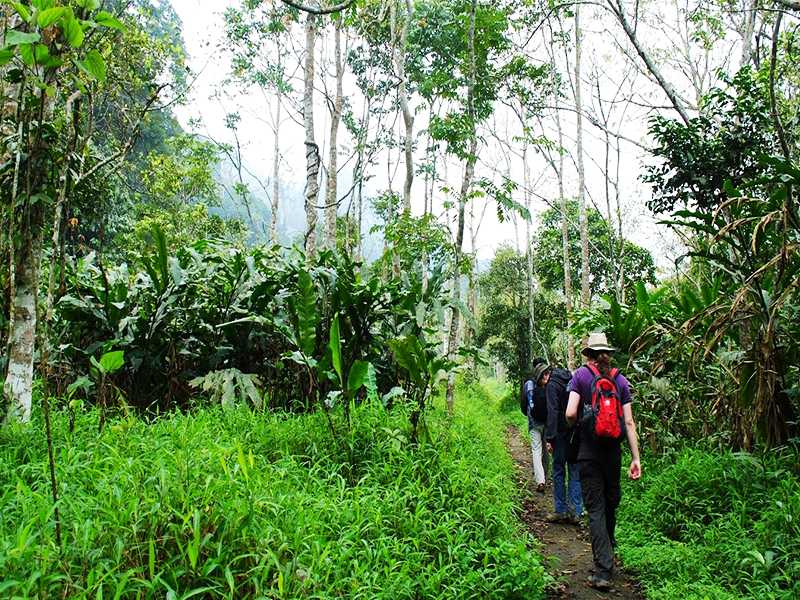 hoa-lu-tam-coc-cuc-phuong-national-park-mua-cave-tour