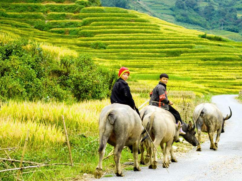 ta-van-village-03