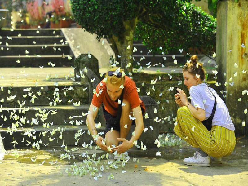 cuc-phuong-national-park-01