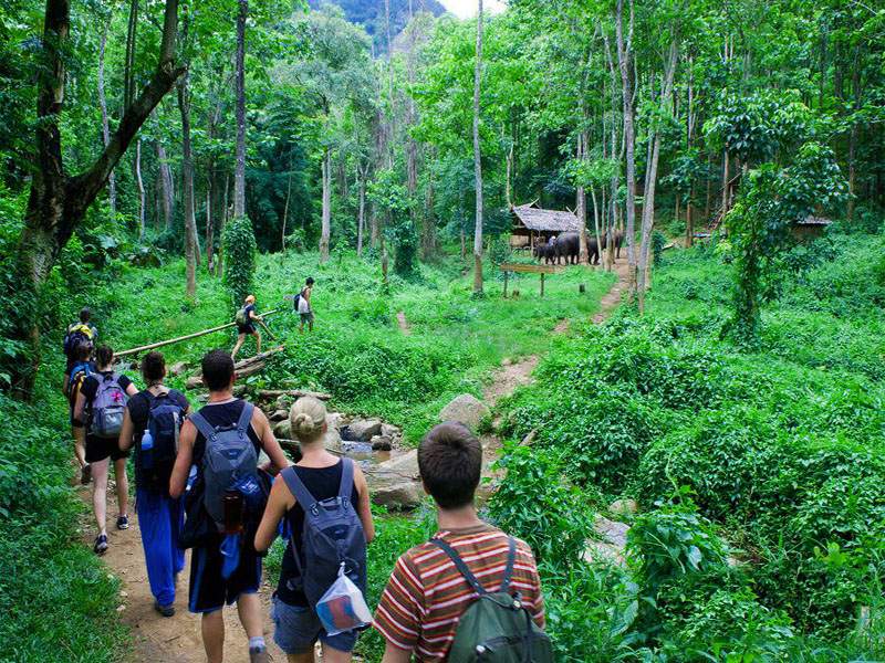 cuc-puong-national-park-02